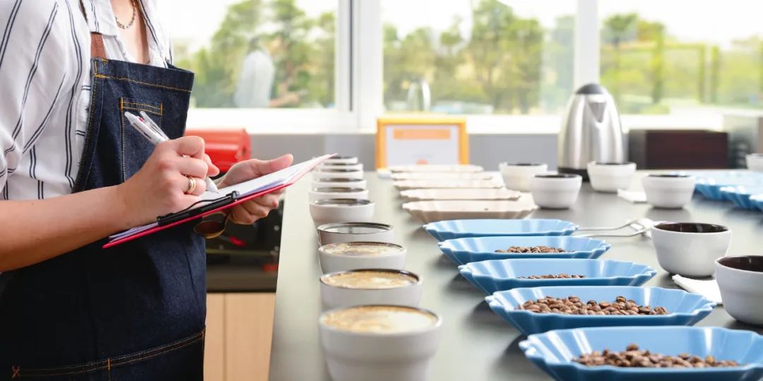Cà phê specialty|Cà phê specialty là gì và sự khác biệt giữa cà phê specialty và cà phê thương mại Định nghĩa SCA của cà phê specialty là gì Đặc điểm của cà phê specialty Điểm cupping Cà phê specialty|Cà phê specialty là gì và sự khác biệt giữa cà phê specialty và cà phê thương mại Định nghĩa SCA của cà phê specialty là gì Đặc điểm của cà phê specialty Điểm cupping