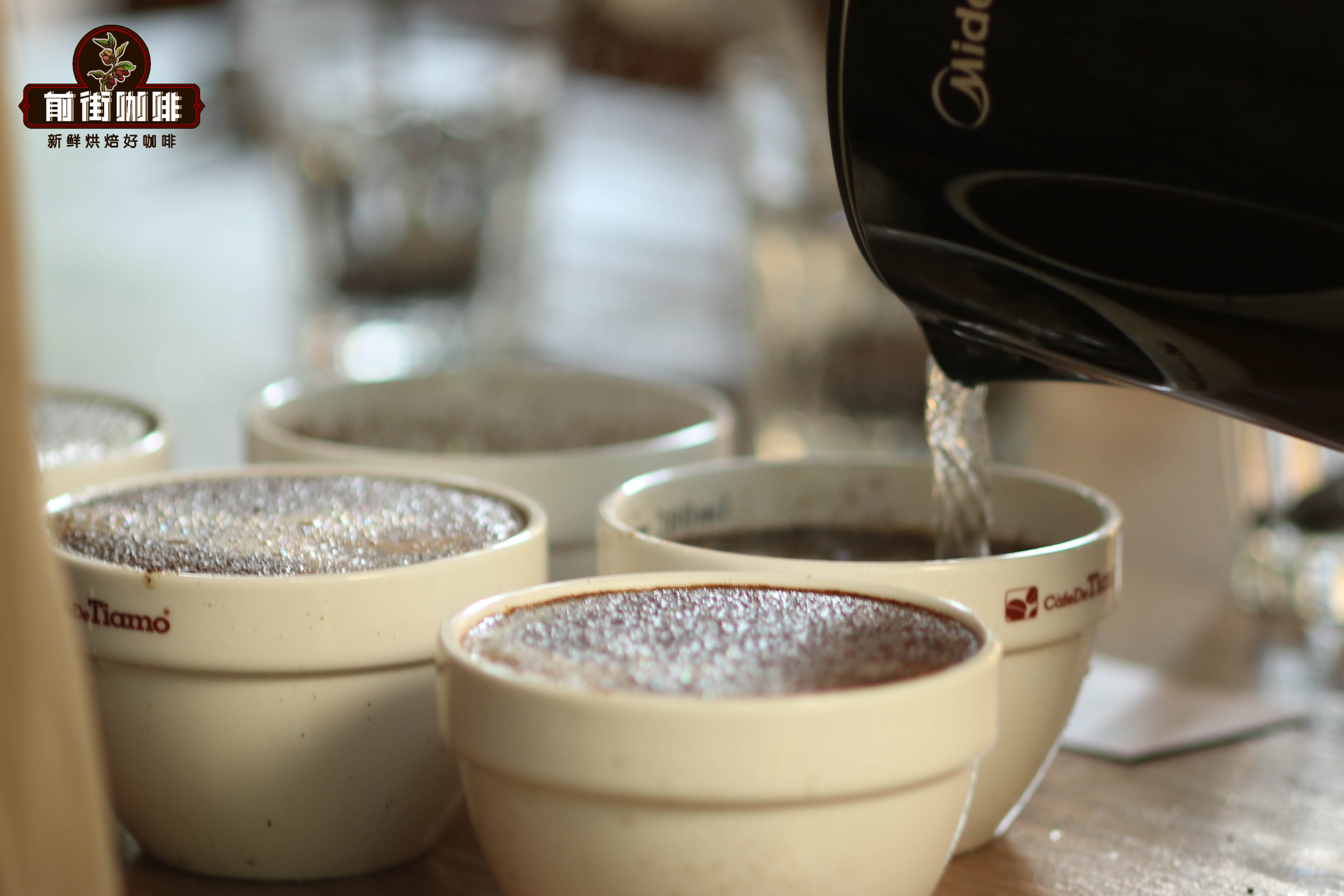 Giới thiệu quy trình các bước cupping hạt cà phê - Cách thực hiện cupping cà phê và tác dụng của nó