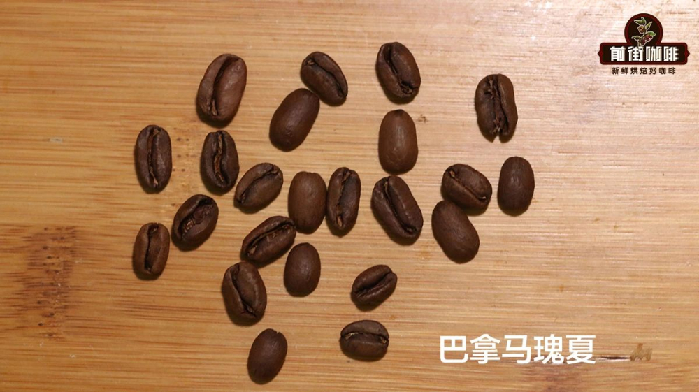 Cà phê hạt Geisha Panama Cà phê hạt Geisha Panama