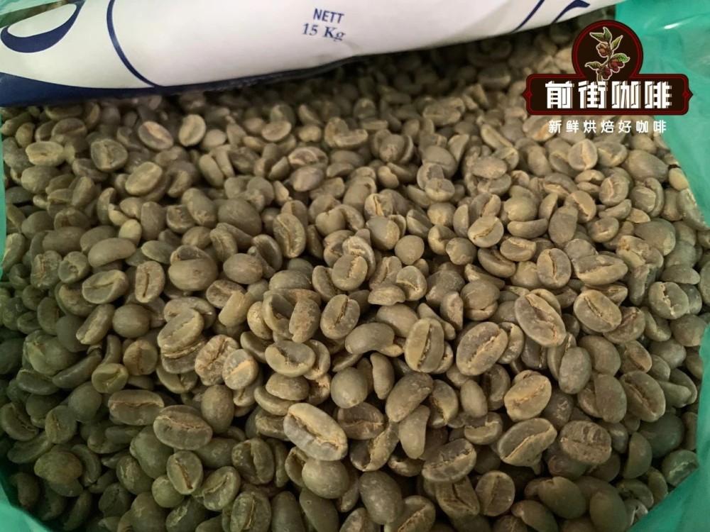 1720326986913420.jpg Cà phê nhân xanh Blue Mountain.jpg