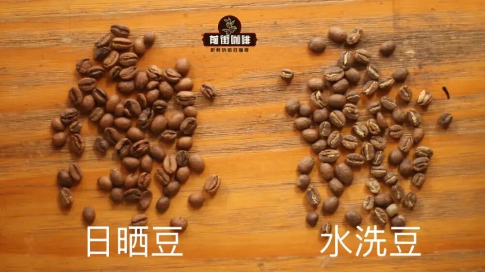 Giống bản địa Ethiopia Giống bản địa Ethiopia