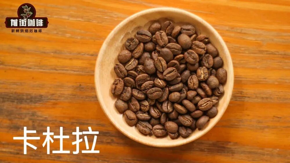 Hạt cà phê Caturra0 Hạt cà phê Caturra0