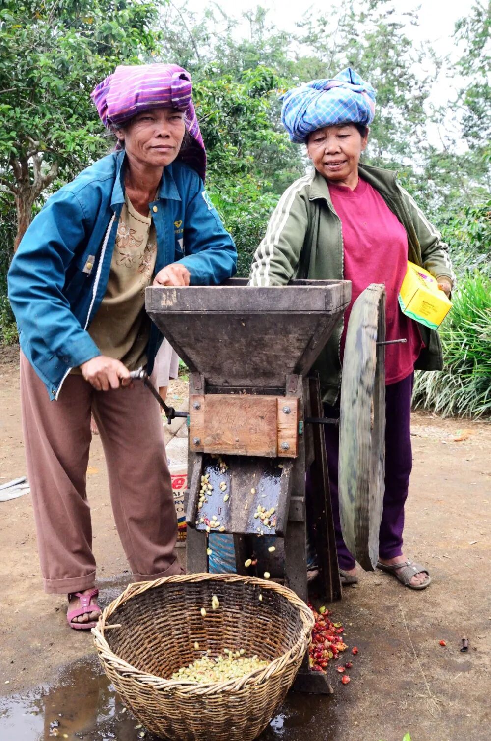 hình ảnh