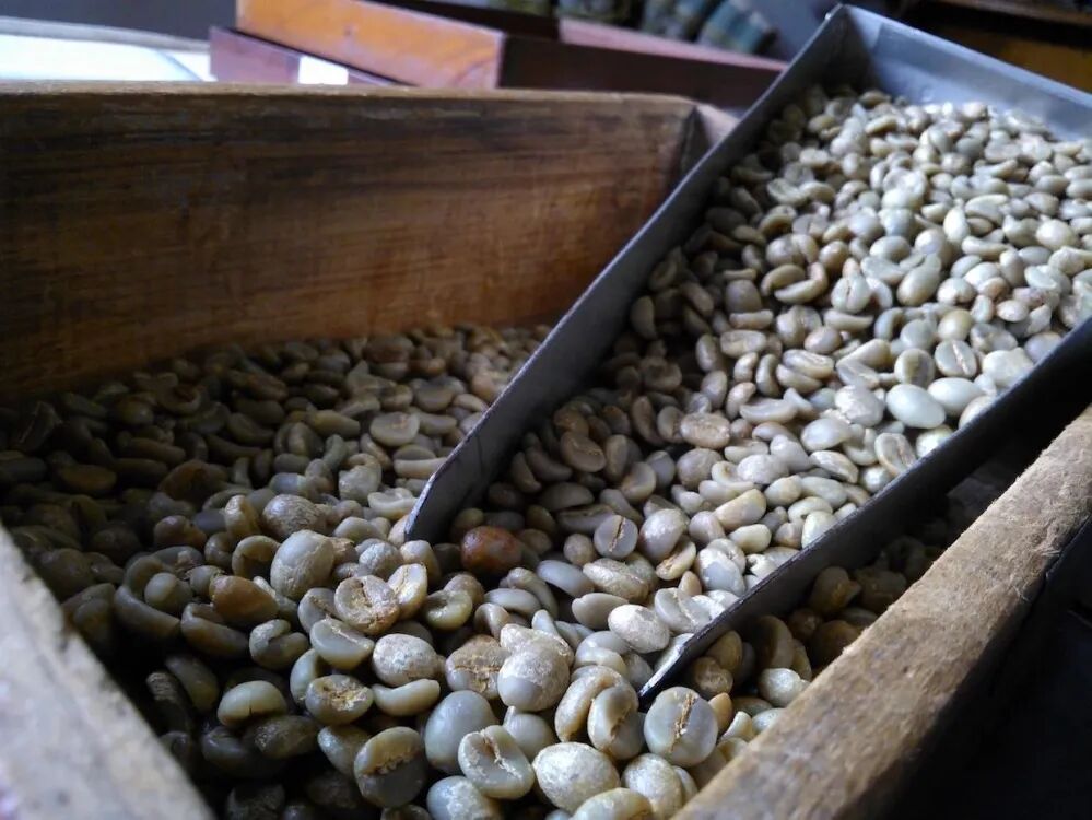 Cà phê nhân Yellow Bourbon