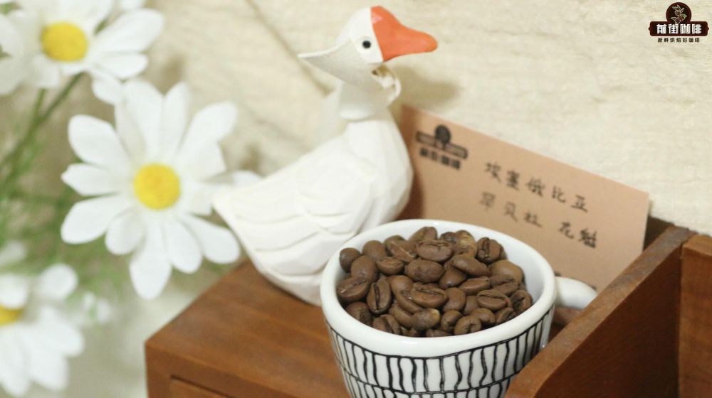 Hoa Khôi hạt nhỏ