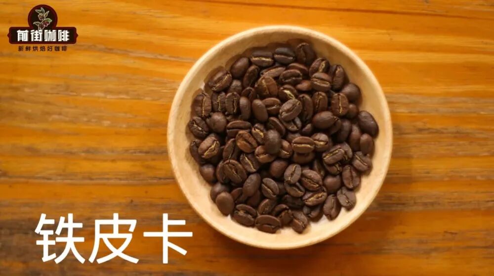 Hạt cà phê Typica66 Hạt cà phê Typica66