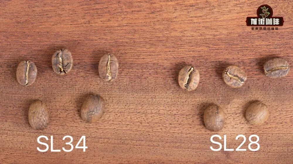 sl28vàsl34