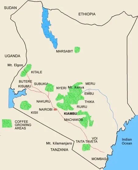 Vùng cà phê Kenya98