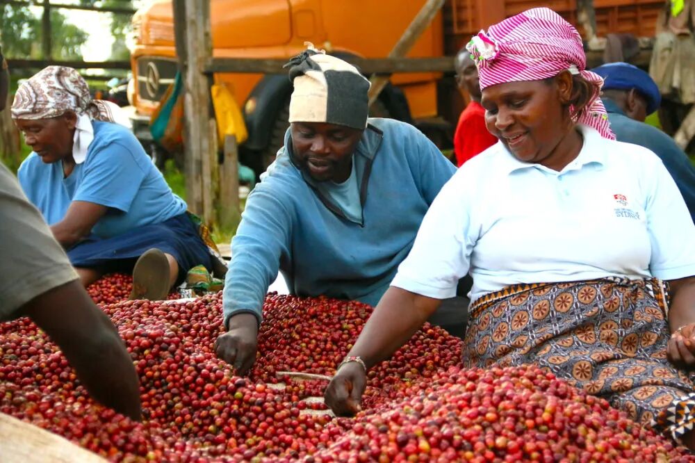 Kenya9439-2