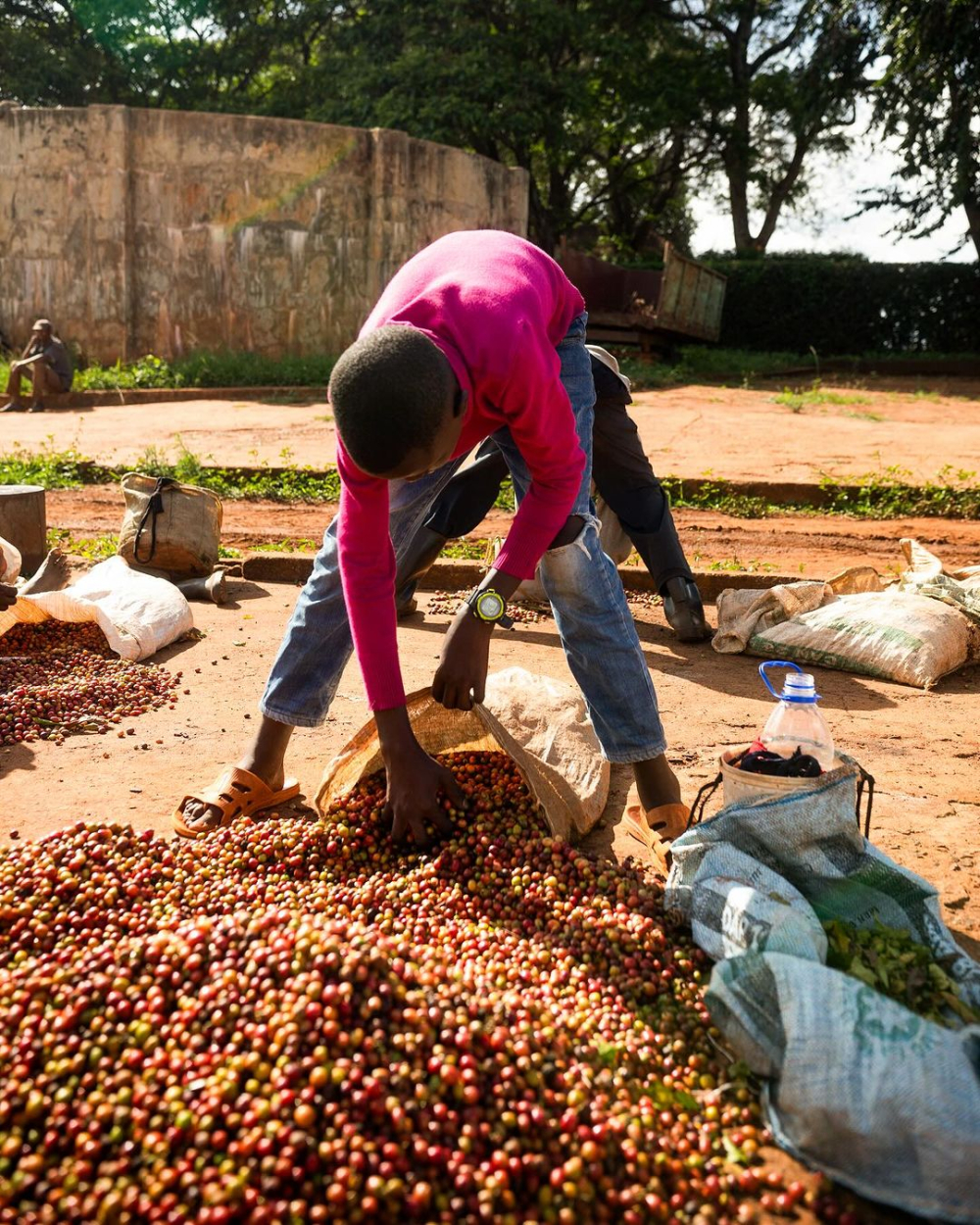 Kenya2961 Kenya2961