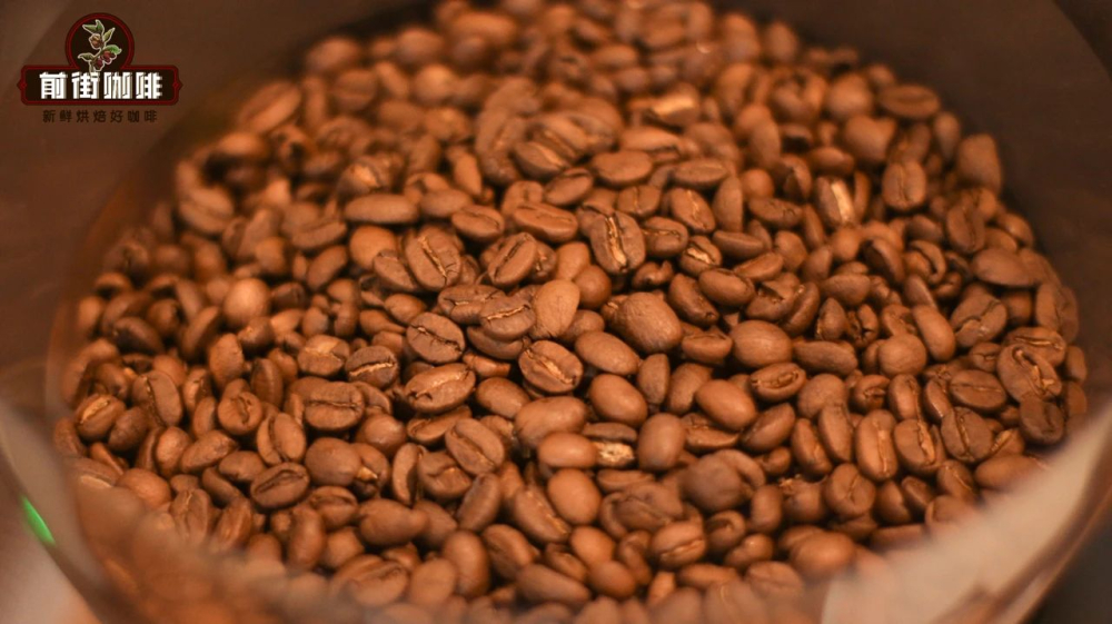 Khoang chứa hạt cà phê espresso36 Khoang chứa hạt cà phê espresso36