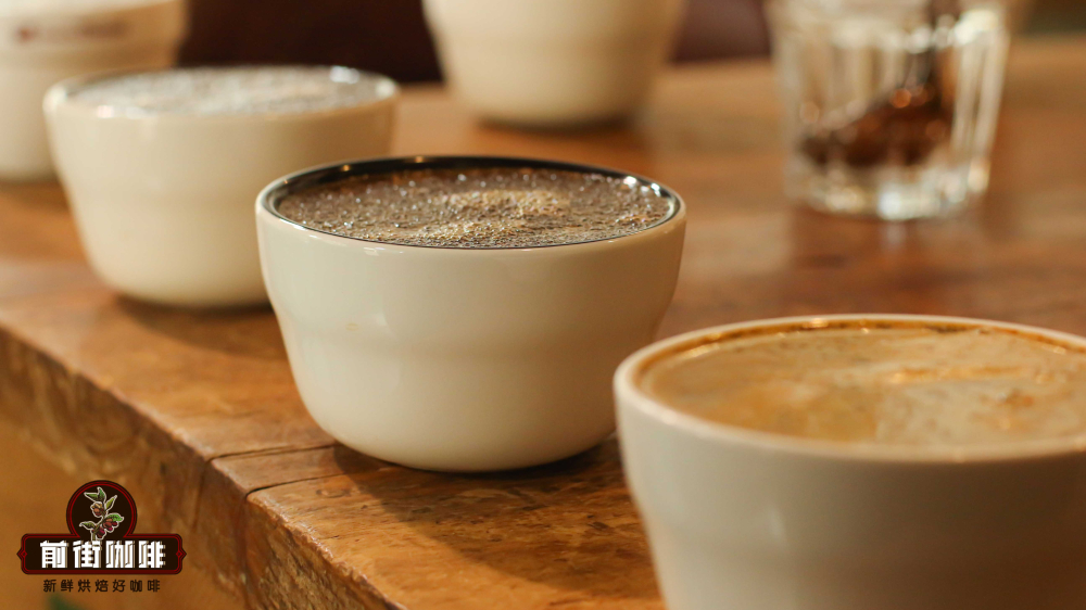 Cupping1444 Cupping1444