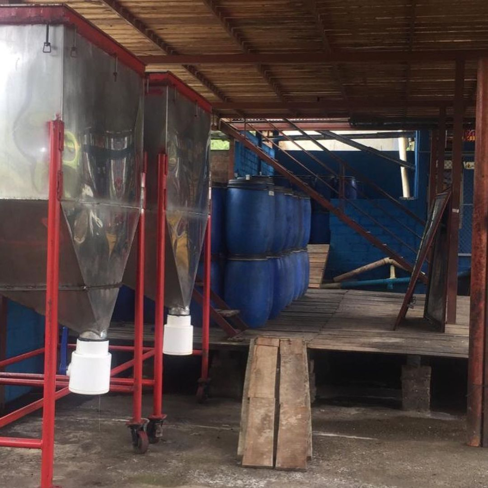 Xử lý yếm khí2994