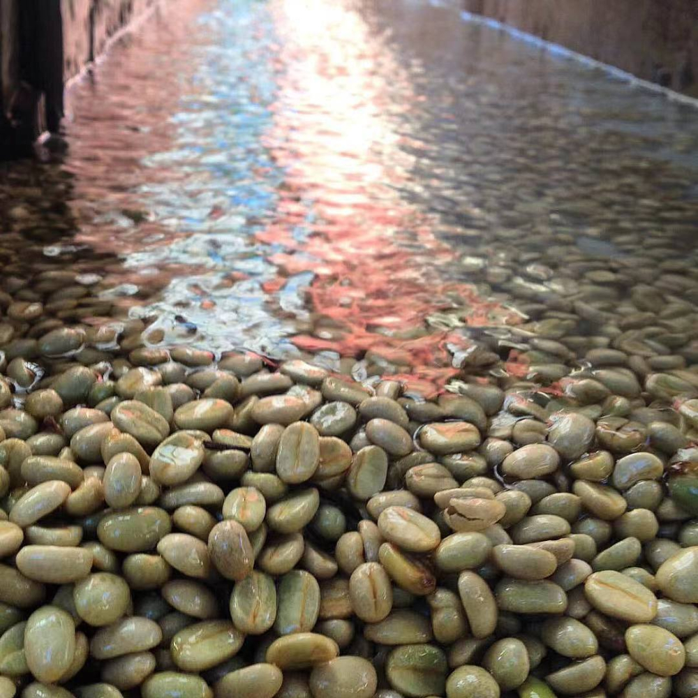 chế biến rửa1192