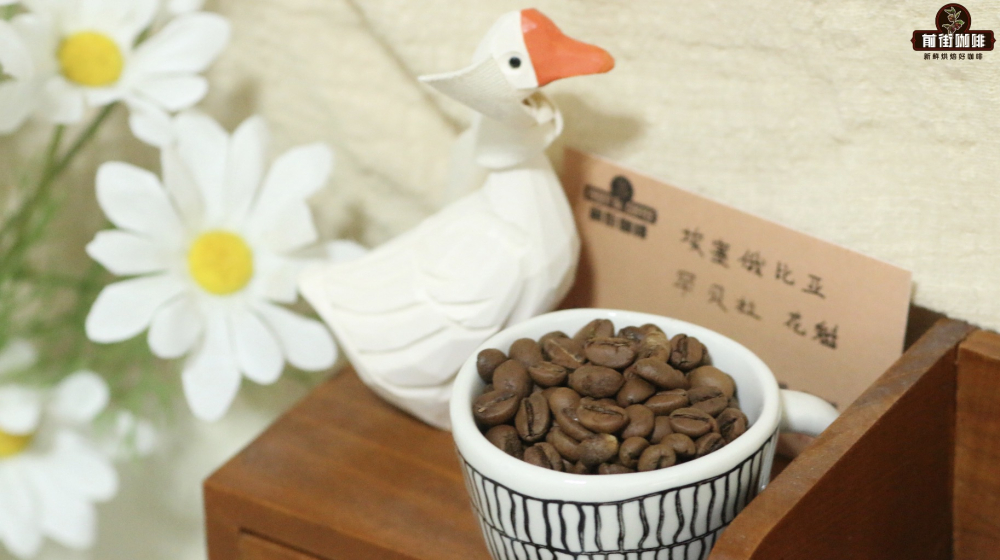 Hoa Khôi hạt nhỏ