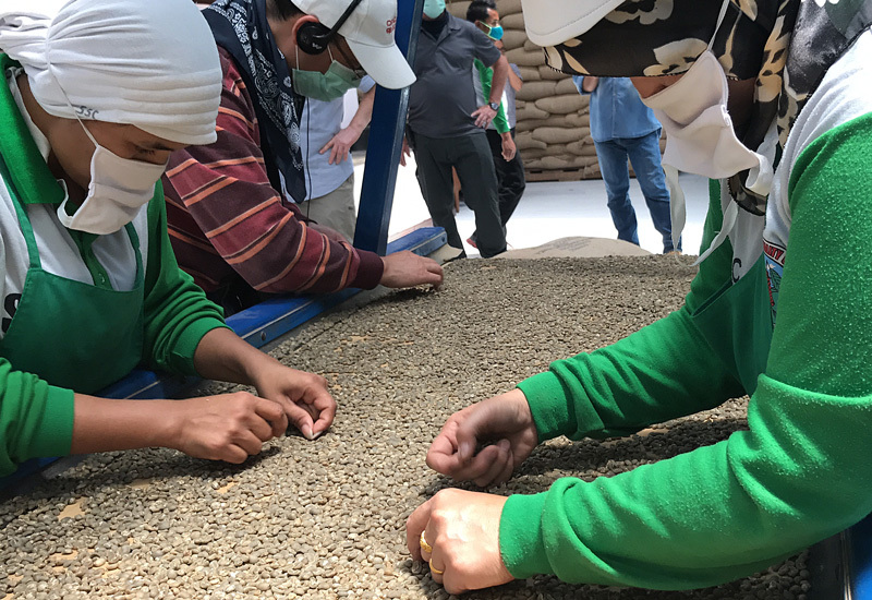Tuyển chọn Mandheling Indonesia sơ chế ướt‘