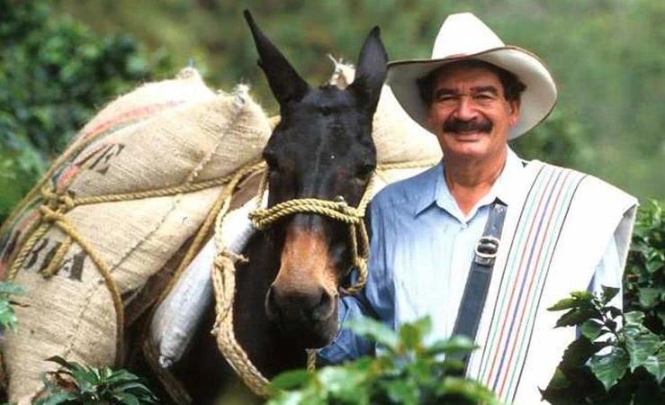 Chú lừa Colombia329