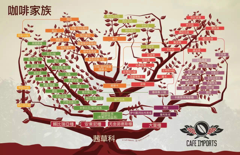 Sơ đồ quan hệ giống、