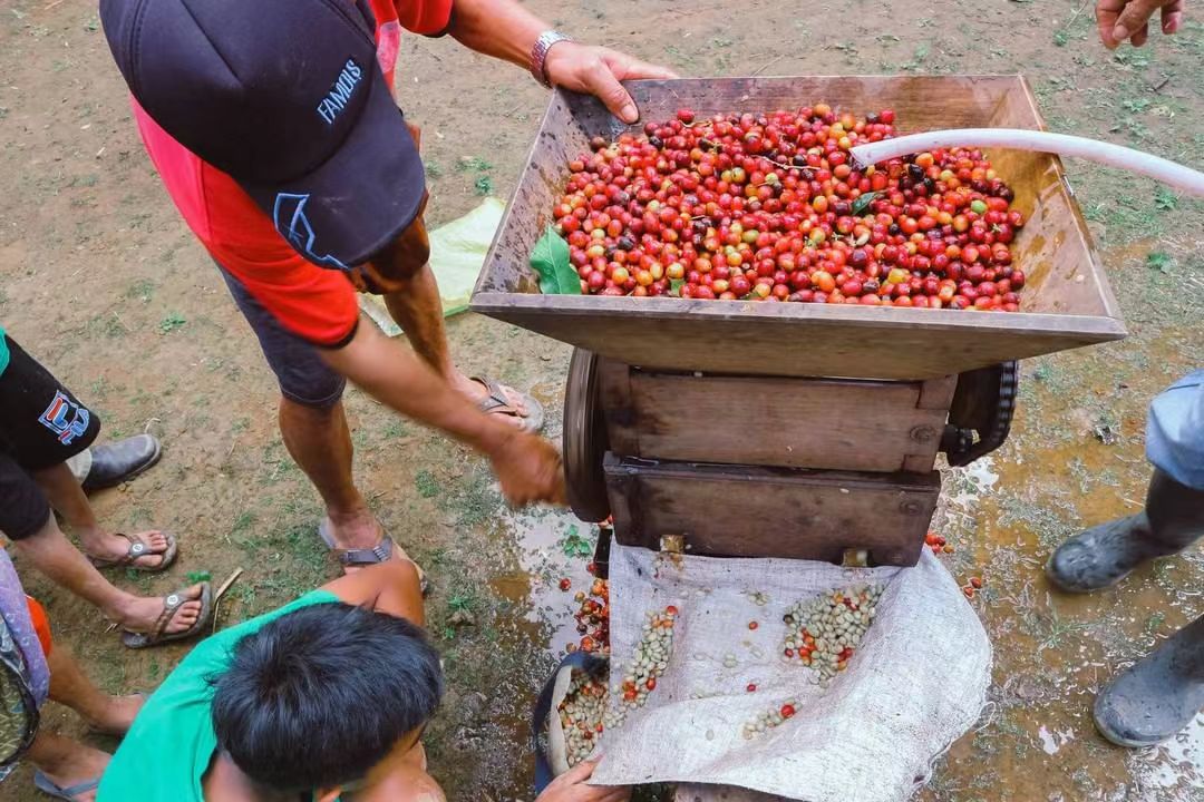 WechatIMGSơ chế giling basah158