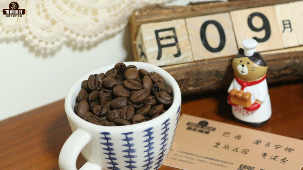 Yellow Bourbon nông trại Nữ hoàng Brazil
