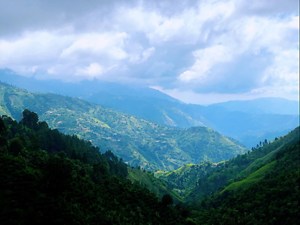 Phong cảnh Blue Mountain2