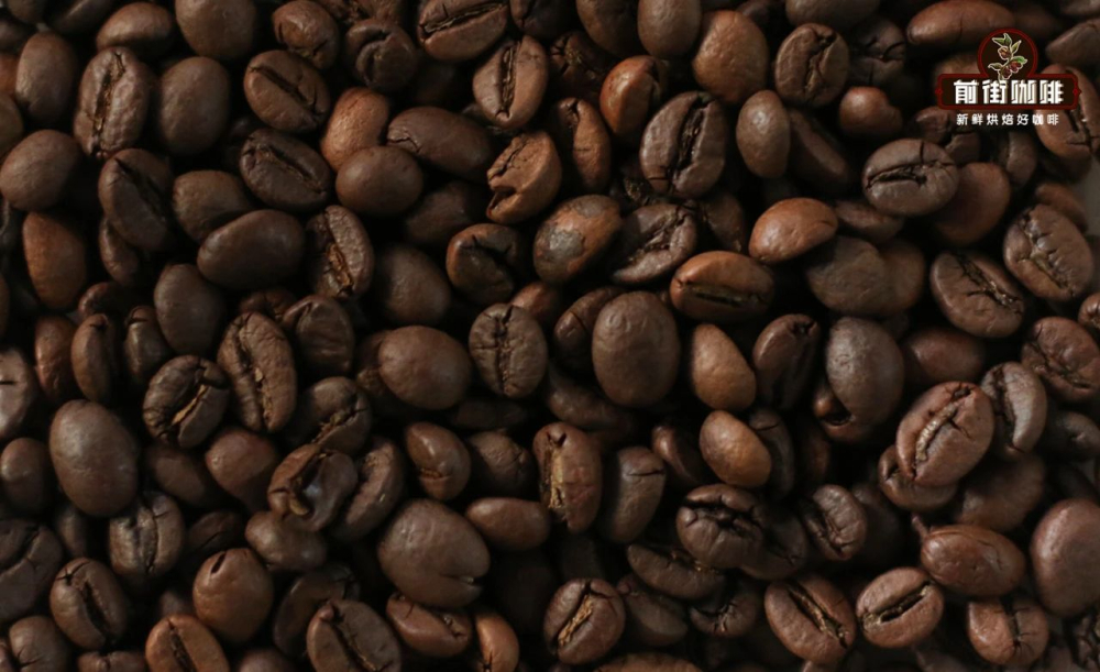 Robusta2 Robusta2