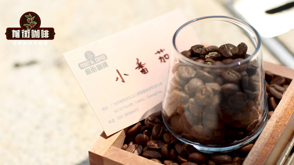 Kenya Cà chua bi0418