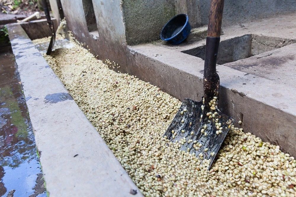 Nicaragua chế biến rửa8d44