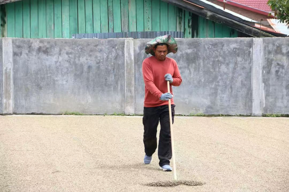 Indonesia ướt vỏ3152