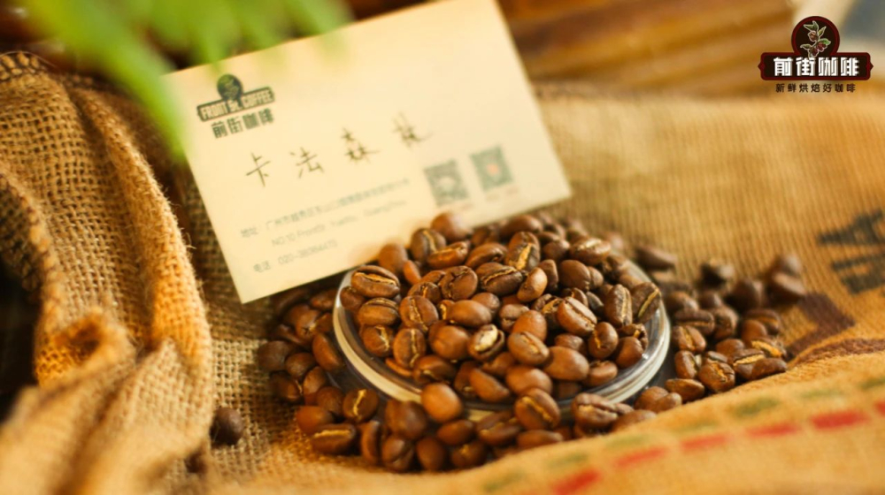 Rừng Kafa Rừng Kafa
