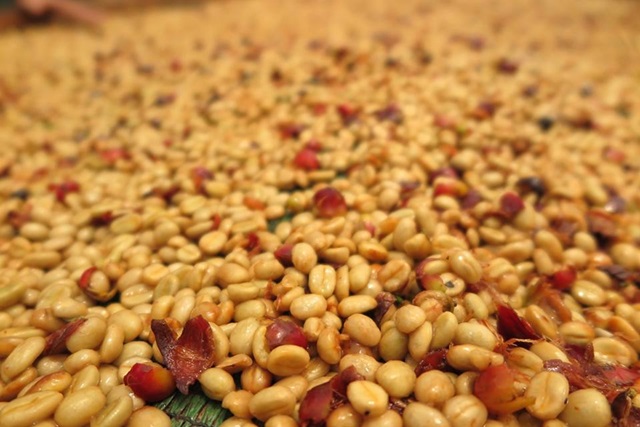 chế biến honeyU2U3 chế biến honeyU2U3
