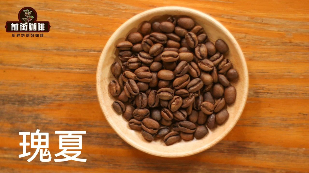 Hạt cà phê Geisha69 Hạt cà phê Geisha69