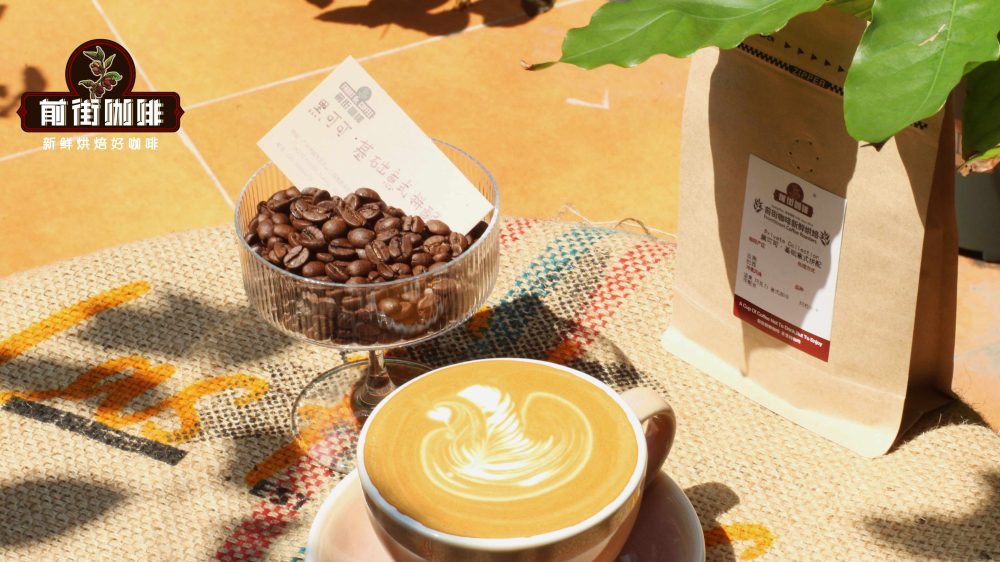 Hạt cà phê pha ấm Moka được nhiều barista khuyên dùng-Front Street CoffeePhối trộn ca cao đen0262