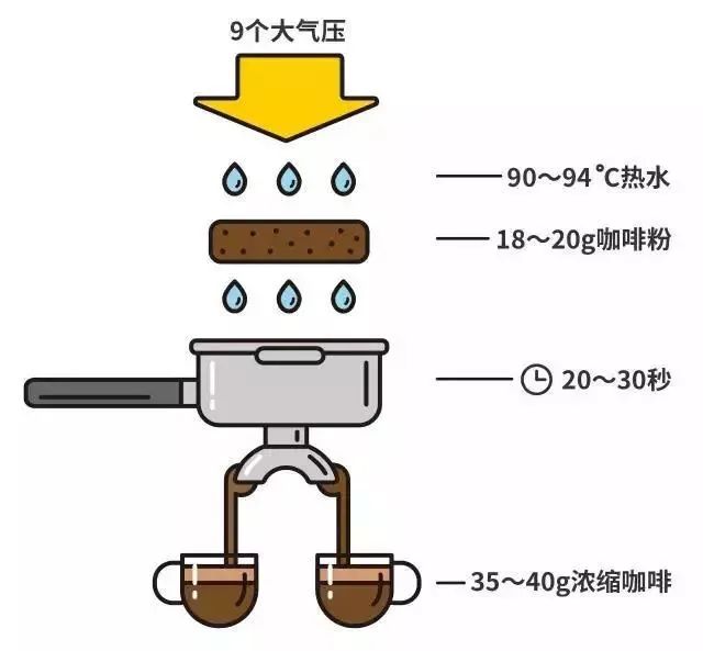 Chiết xuất espresso Chiết xuất espresso
