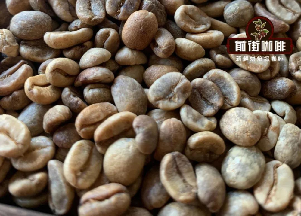 Chế biến mật ong nho khô Cà phê nhân xanh Bahia27 Chế biến mật ong nho khô Cà phê nhân xanh Bahia27