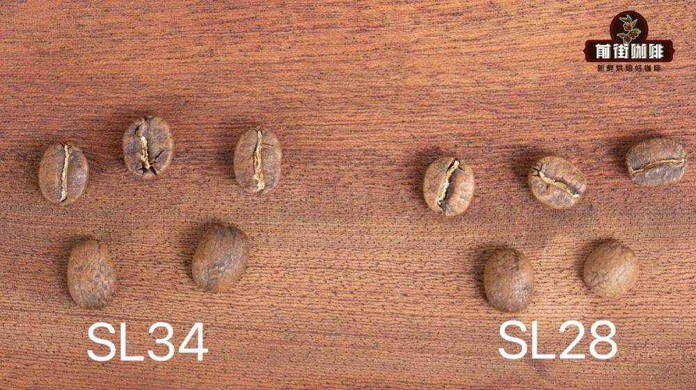 sl28vàsl34