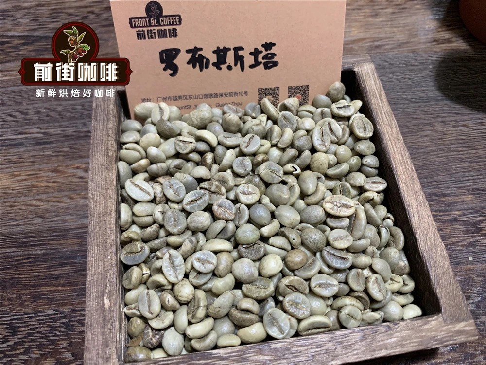 Hạt cà phê Robusta Hạt cà phê Robusta
