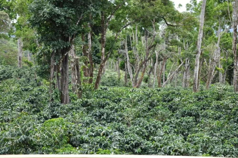hình ảnh hình ảnh