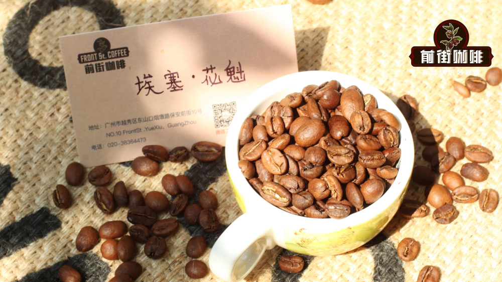 Hoa Kui2926 Hoa Kui2926