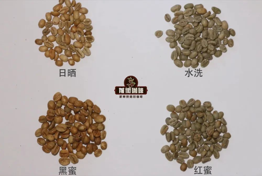 Nhân xanh sơ chế ướt phơi nắng mật ong