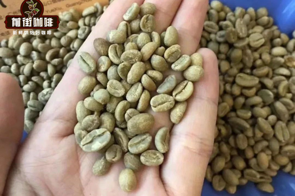 Hạt nhân xanh nguyên chủngAN06