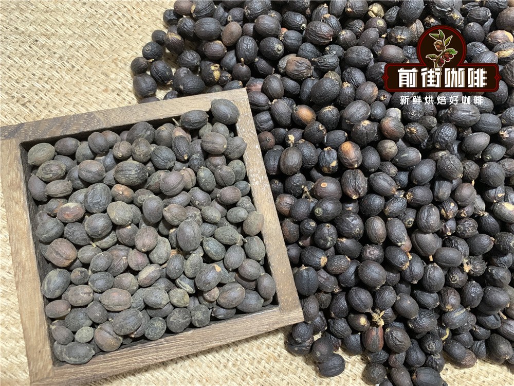Vân Nam chế biến khô0e2c78