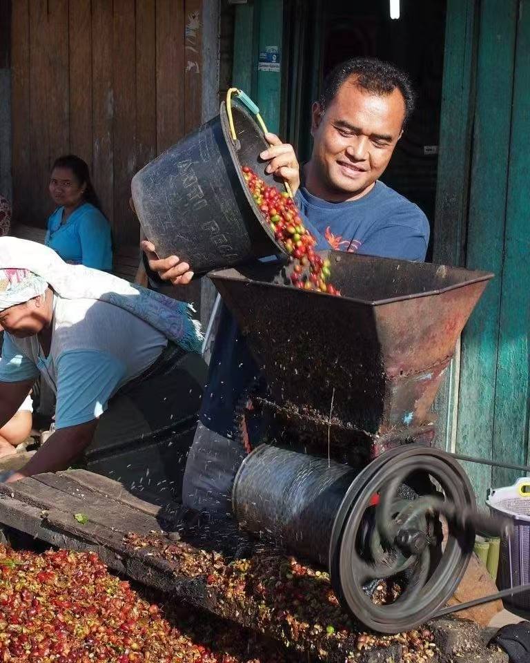 Indonesia ướt vỏ3153