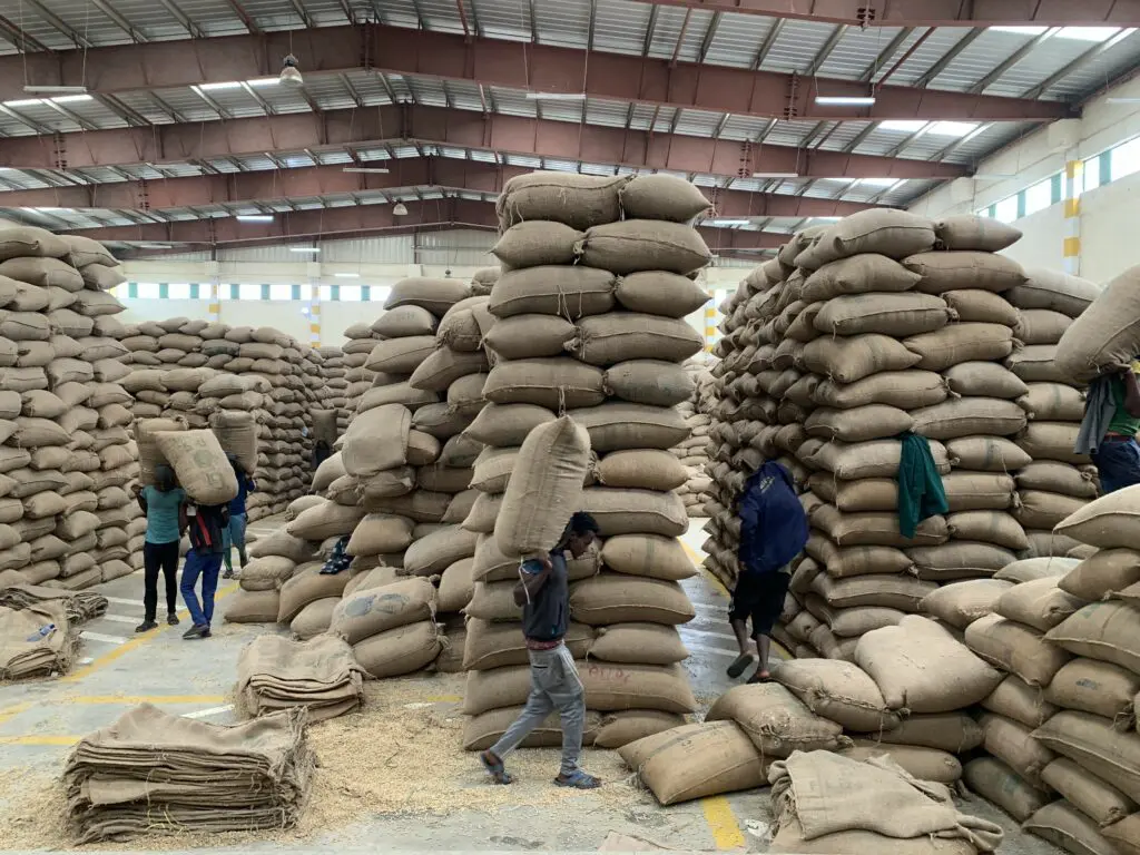 Hạt cà phê Ethiopia Hạt cà phê Ethiopia