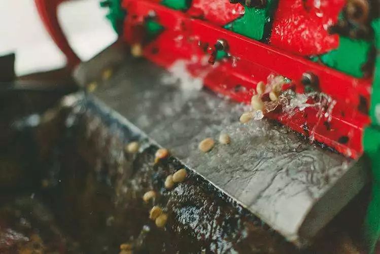 Hạt cà phê chế biến ướt Panamaeeb Hạt cà phê chế biến ướt Panamaeeb