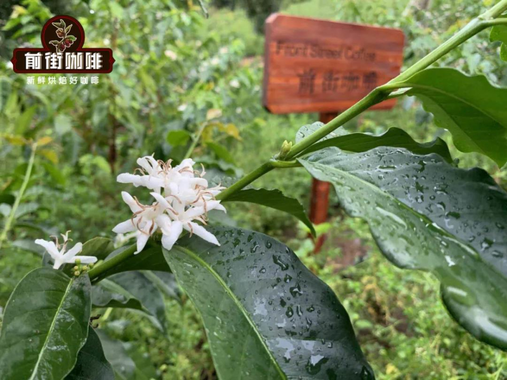 Hình ảnh WeChat_202304301044175 Hình ảnh WeChat_202304301044175