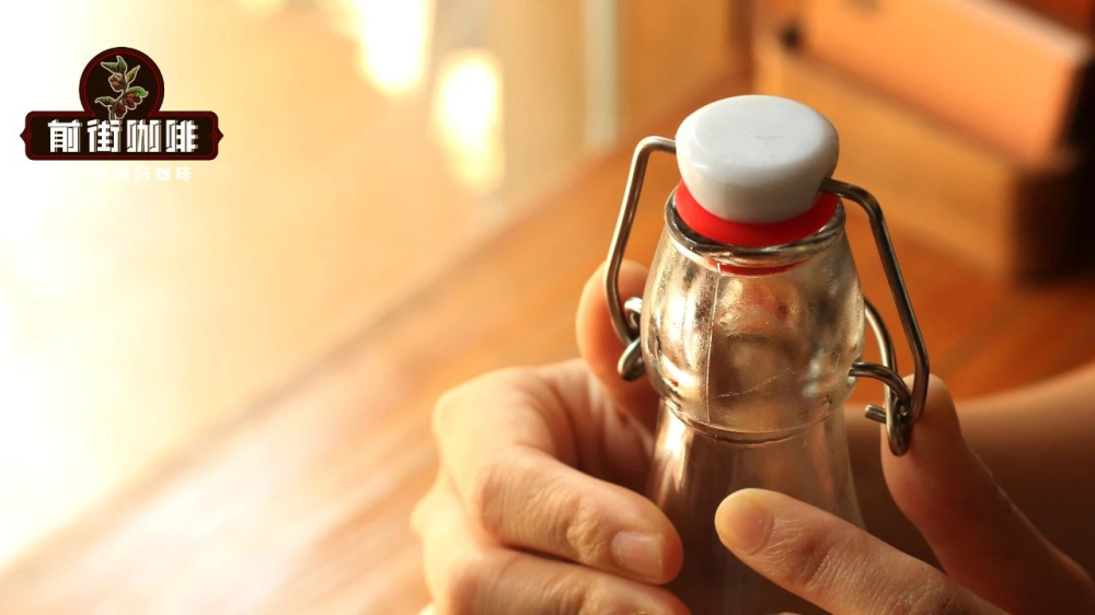 Bình cold brew19466