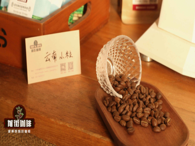 羅布斯塔咖啡豆風味口感香氣特徵描述簡介 羅布斯塔豆的危害為什麼臭名昭著 羅布斯塔油脂豐富原因