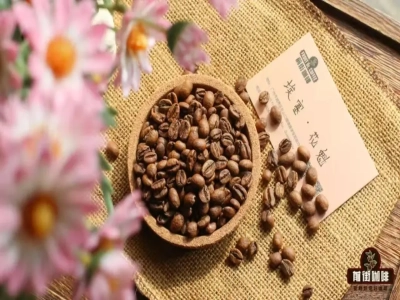埃塞西達摩日曬花魁｜咖啡單品豆花魁/瑰夏/藝伎是同個咖啡品種嗎？花魁和Geisha有何區別？