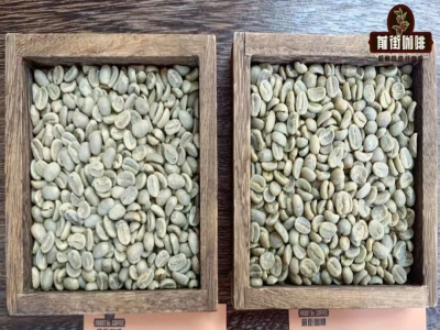 PNG coffee｜巴布亞新幾內咖啡為何有小藍山之名？西格裏莊園天堂鳥水洗鐵皮卡風味特色是什麼？